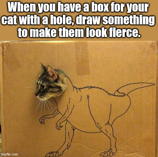 When you have a box for your 
cat with a hole, draw something 
to make them look fierce. | image tagged in cats | made w/ Imgflip meme maker