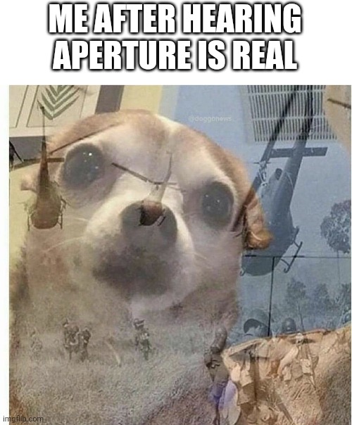 damn Wheatley why... | ME AFTER HEARING APERTURE IS REAL | image tagged in ptsd chihuahua | made w/ Imgflip meme maker