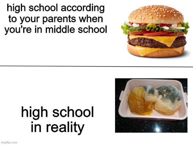 Can anyone else relate to this? | high school according to your parents when you're in middle school; high school in reality | image tagged in good burger vs moldy burger | made w/ Imgflip meme maker