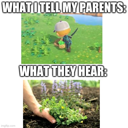 Is this just me? | WHAT I TELL MY PARENTS:; WHAT THEY HEAR: | image tagged in memes,blank transparent square | made w/ Imgflip meme maker