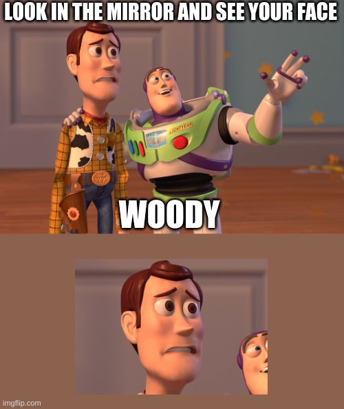 tho oh no | LOOK IN THE MIRROR AND SEE YOUR FACE; WOODY | image tagged in memes,x x everywhere | made w/ Imgflip meme maker