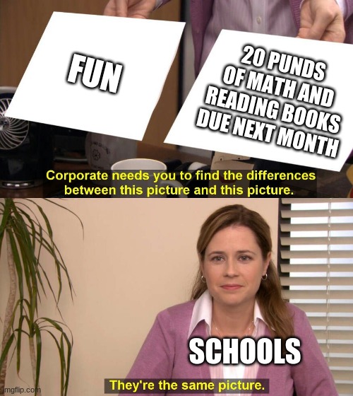 They are the same picture | FUN; 20 PUNDS OF MATH AND READING BOOKS DUE NEXT MONTH; SCHOOLS | image tagged in they are the same picture | made w/ Imgflip meme maker