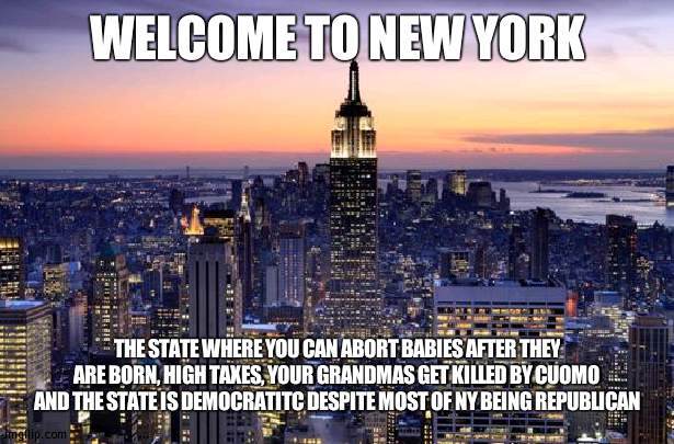 Summing up NY | WELCOME TO NEW YORK; THE STATE WHERE YOU CAN ABORT BABIES AFTER THEY ARE BORN, HIGH TAXES, YOUR GRANDMAS GET KILLED BY CUOMO AND THE STATE IS DEMOCRATITC DESPITE MOST OF NY BEING REPUBLICAN | image tagged in new york city,democrat | made w/ Imgflip meme maker