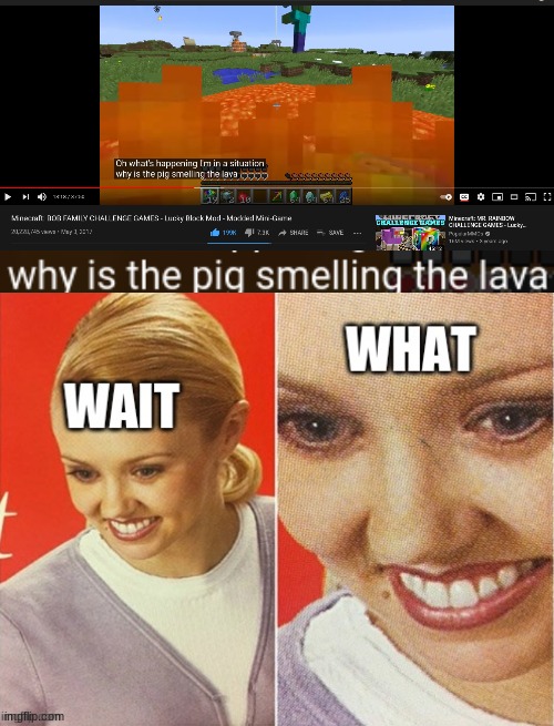 "Why is the pig smelling the lava?" -Supergamergirl 2017 | image tagged in supergamergirl,popularmmos,lucky block,minecraft,lava,pat and jen | made w/ Imgflip meme maker