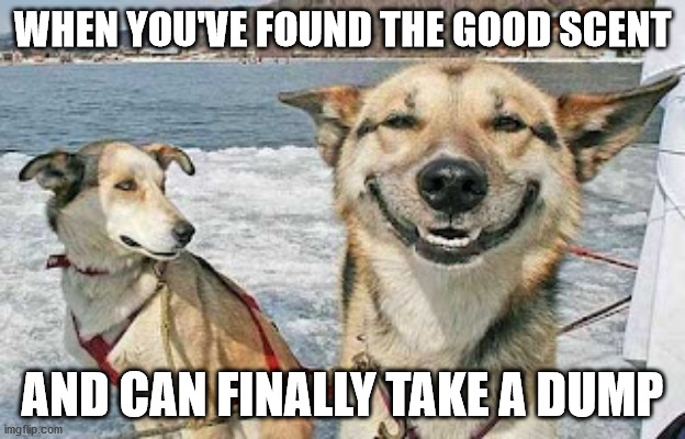 Original Stoner Dog |  WHEN YOU'VE FOUND THE GOOD SCENT; AND CAN FINALLY TAKE A DUMP | image tagged in memes,original stoner dog,takingadump,dogpooping,poop,pooping | made w/ Imgflip meme maker
