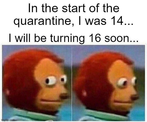 Monkey Puppet Meme | In the start of the quarantine, I was 14... I will be turning 16 soon... | image tagged in memes,monkey puppet | made w/ Imgflip meme maker