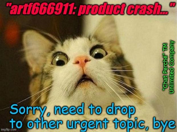 Need to drop to other urgent topic | "artf666911: product crash..."; "Chat Perché" TM
Unlimited Company; Sorry, need to drop to other urgent topic, bye | image tagged in memes,scared cat,crash,drop,work | made w/ Imgflip meme maker
