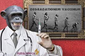 monke Blank Meme Template