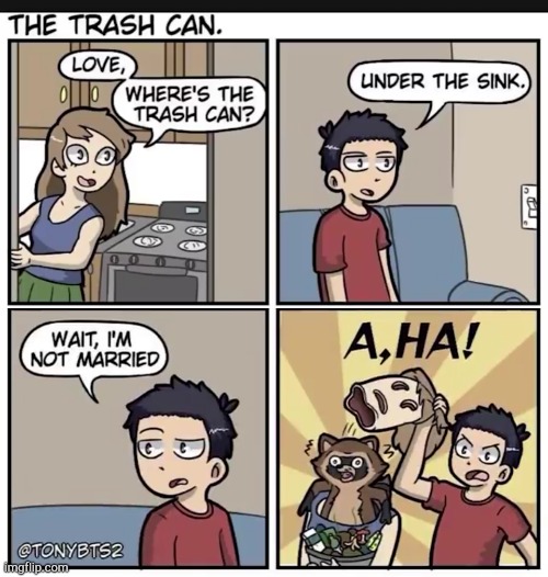 the trash can | image tagged in comics/cartoons,racoon | made w/ Imgflip meme maker