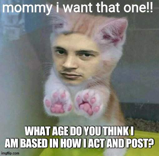 tyler catseph | WHAT AGE DO YOU THINK I AM BASED IN HOW I ACT AND POST? | image tagged in tyler catseph | made w/ Imgflip meme maker