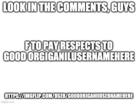 Rip Him | LOOK IN THE COMMENTS, GUYS; F TO PAY RESPECTS TO GOOD ORGIGANILUSERNAMEHERE; HTTPS://IMGFLIP.COM/USER/G00D0RIGANIIUSERNAMEHERE | image tagged in blank white template | made w/ Imgflip meme maker