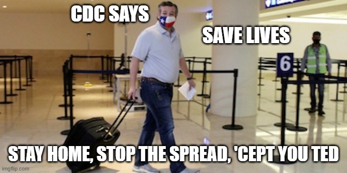 'cept you ted | CDC SAYS                                                                             SAVE LIVES; STAY HOME, STOP THE SPREAD, 'CEPT YOU TED | image tagged in ted cruz | made w/ Imgflip meme maker