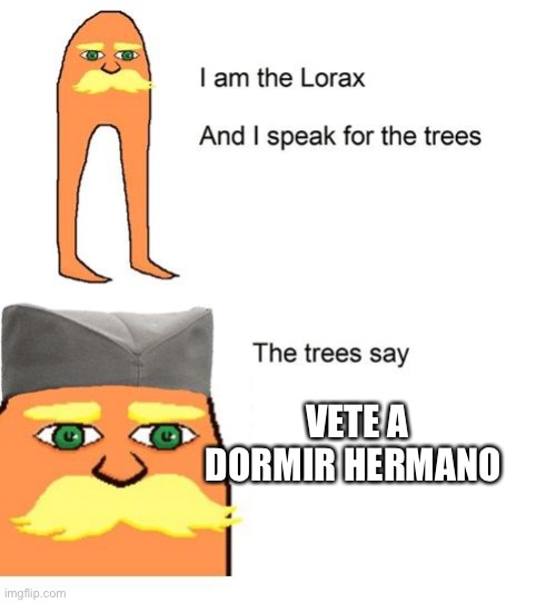 Serbian Lorax | VETE A DORMIR HERMANO | image tagged in serbian lorax | made w/ Imgflip meme maker