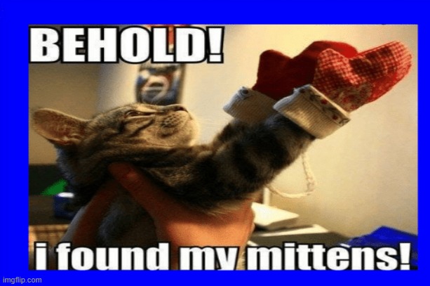 mittins | image tagged in cats | made w/ Imgflip meme maker