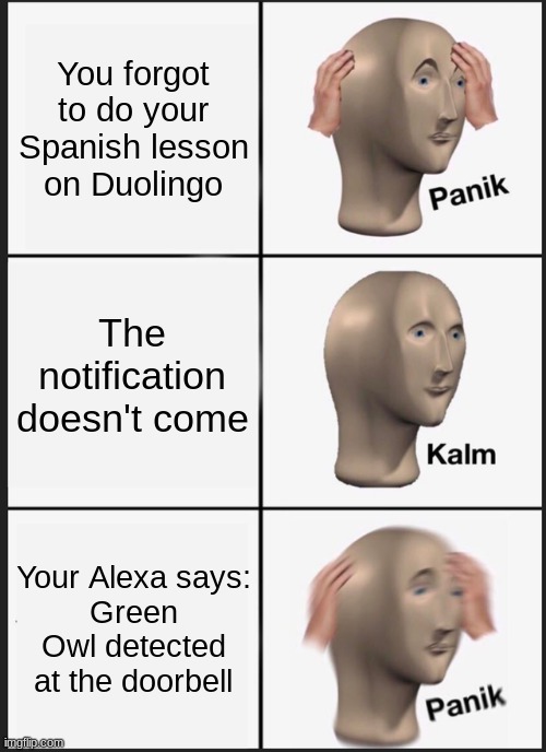 Panik Kalm Panik Meme | You forgot to do your Spanish lesson on Duolingo; The notification doesn't come; Your Alexa says:
Green Owl detected at the doorbell | image tagged in memes,panik kalm panik | made w/ Imgflip meme maker