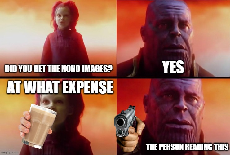 thanos what did it cost | DID YOU GET THE NONO IMAGES? YES; AT WHAT EXPENSE; THE PERSON READING THIS | image tagged in thanos what did it cost | made w/ Imgflip meme maker