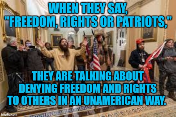 Power To The (right, white) People. | WHEN THEY SAY, "FREEDOM, RIGHTS OR PATRIOTS,"; THEY ARE TALKING ABOUT DENYING FREEDOM AND RIGHTS TO OTHERS IN AN UNAMERICAN WAY. | image tagged in politics | made w/ Imgflip meme maker