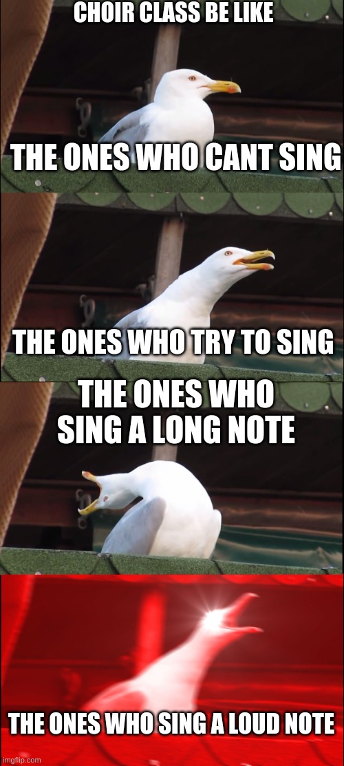 Inhaling Seagull Meme | CHOIR CLASS BE LIKE; THE ONES WHO CANT SING; THE ONES WHO TRY TO SING; THE ONES WHO SING A LONG NOTE; THE ONES WHO SING A LOUD NOTE | image tagged in memes,inhaling seagull | made w/ Imgflip meme maker