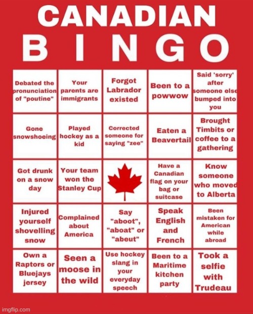 found this online | image tagged in memes,funny,bingo,canada | made w/ Imgflip meme maker