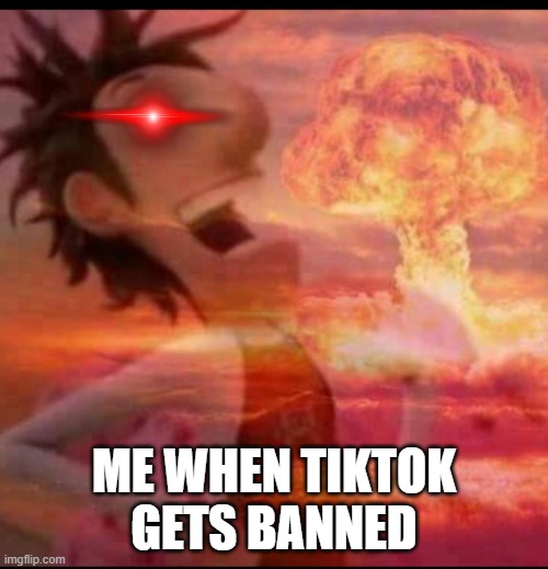 Me when tiktok gets banned | ME WHEN TIKTOK GETS BANNED | image tagged in mushroomcloudy | made w/ Imgflip meme maker