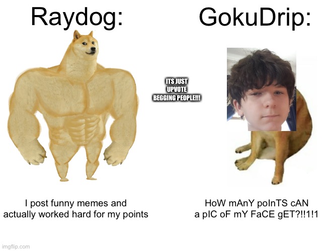 HE GOT POPULAR WITH UPVOTE BEGGING!!! | Raydog:; GokuDrip:; ITS JUST UPVOTE BEGGING PEOPLE!!! I post funny memes and actually worked hard for my points; HoW mAnY poInTS cAN a pIC oF mY FaCE gET?!!1!1 | image tagged in memes,buff doge vs cheems | made w/ Imgflip meme maker