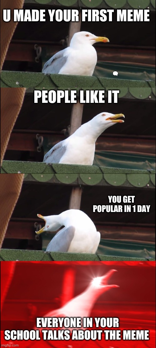 What it feels like to be a dank memer | U MADE YOUR FIRST MEME; PEOPLE LIKE IT; YOU GET POPULAR IN 1 DAY; EVERYONE IN YOUR SCHOOL TALKS ABOUT THE MEME | image tagged in memes,inhaling seagull | made w/ Imgflip meme maker