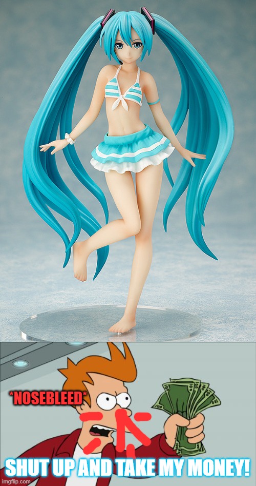 Swimsuit Miku | *NOSEBLEED*; SHUT UP AND TAKE MY MONEY! | image tagged in memes,shut up and take my money fry,hatsune miku | made w/ Imgflip meme maker