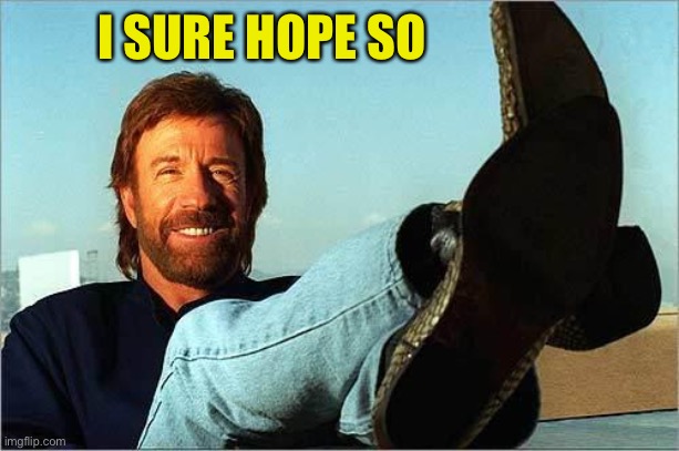 Chuck Norris Says | I SURE HOPE SO | image tagged in chuck norris says | made w/ Imgflip meme maker