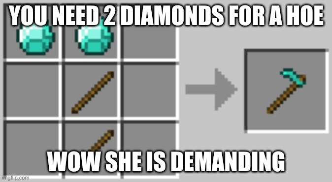 Minecraft hoes | YOU NEED 2 DIAMONDS FOR A HOE; WOW SHE IS DEMANDING | image tagged in joke,minecraft,meme | made w/ Imgflip meme maker