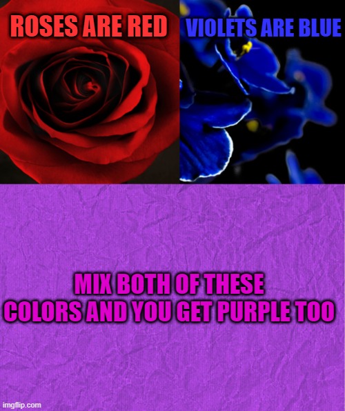 ROSES ARE RED; VIOLETS ARE BLUE; MIX BOTH OF THESE COLORS AND YOU GET PURPLE TOO | image tagged in roses are red violets are blue,generic purple background | made w/ Imgflip meme maker