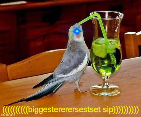 Big Sip | ((((((((((biggestererersestset sip)))))))))) | image tagged in big sip | made w/ Imgflip meme maker