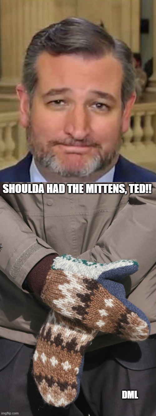 Bernie's Mittens, Ted Cruz, Bernie's Mittens! | SHOULDA HAD THE MITTENS, TED!! DML | image tagged in ted cruz,bernie mittens,texas | made w/ Imgflip meme maker