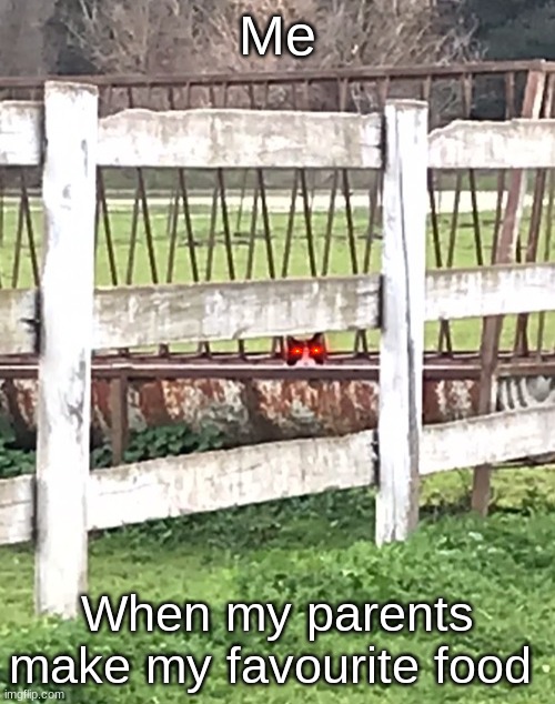 Oh Yeah! | Me; When my parents make my favourite food | image tagged in peeping cat | made w/ Imgflip meme maker