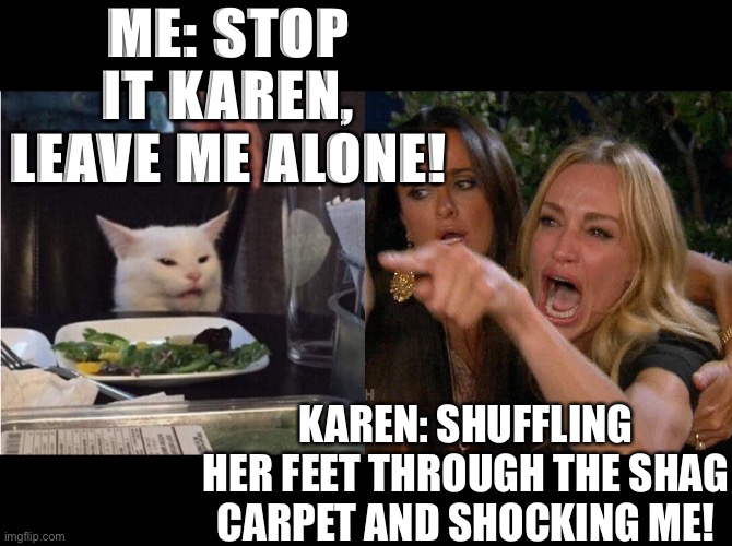 Shocking smudge | ME: STOP IT KAREN, LEAVE ME ALONE! KAREN: SHUFFLING HER FEET THROUGH THE SHAG CARPET AND SHOCKING ME! | image tagged in reverse cat at dinner table | made w/ Imgflip meme maker