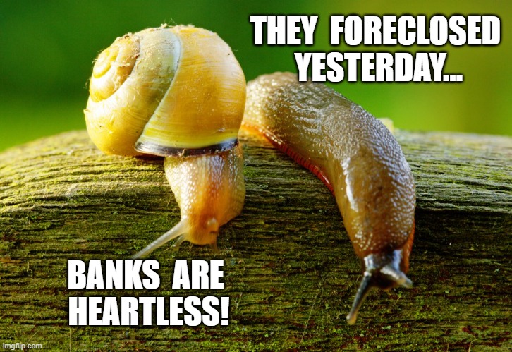 PANDEMIC TRICKLE DOWN ... | THEY  FORECLOSED  YESTERDAY... BANKS  ARE  HEARTLESS! | image tagged in funny | made w/ Imgflip meme maker