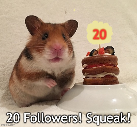 I made a cake | 20; 20 Followers! Squeak! | image tagged in hamster cake,rodents,cute,cake | made w/ Imgflip meme maker