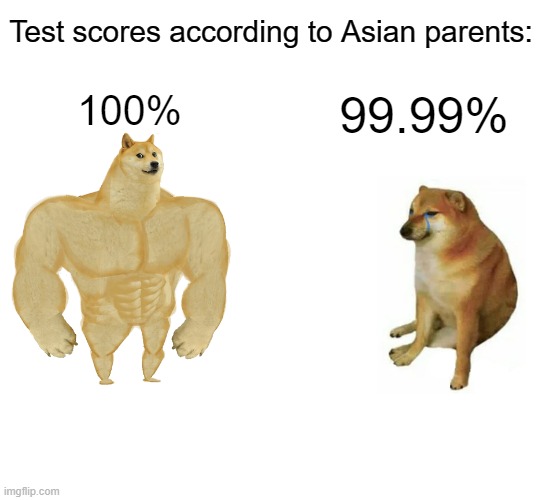 Buff Doge vs. Cheems | Test scores according to Asian parents:; 100%; 99.99% | image tagged in memes,buff doge vs cheems | made w/ Imgflip meme maker