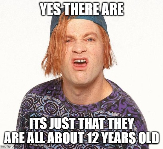 Kevin the teenager | YES THERE ARE ITS JUST THAT THEY ARE ALL ABOUT 12 YEARS OLD | image tagged in kevin the teenager | made w/ Imgflip meme maker
