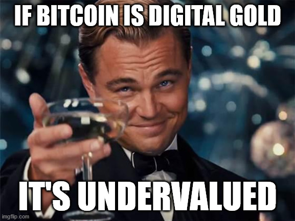 wolf of wall street | IF BITCOIN IS DIGITAL GOLD; IT'S UNDERVALUED | image tagged in wolf of wall street | made w/ Imgflip meme maker