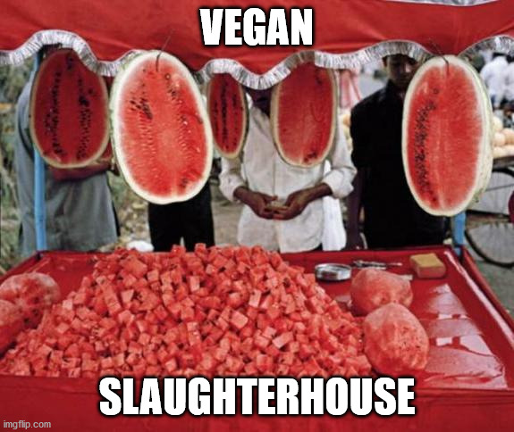 Vegan Slaughterhouse | VEGAN; SLAUGHTERHOUSE | image tagged in vegan | made w/ Imgflip meme maker
