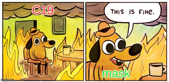 This Is Fine | C19; mask | image tagged in memes,this is fine | made w/ Imgflip meme maker