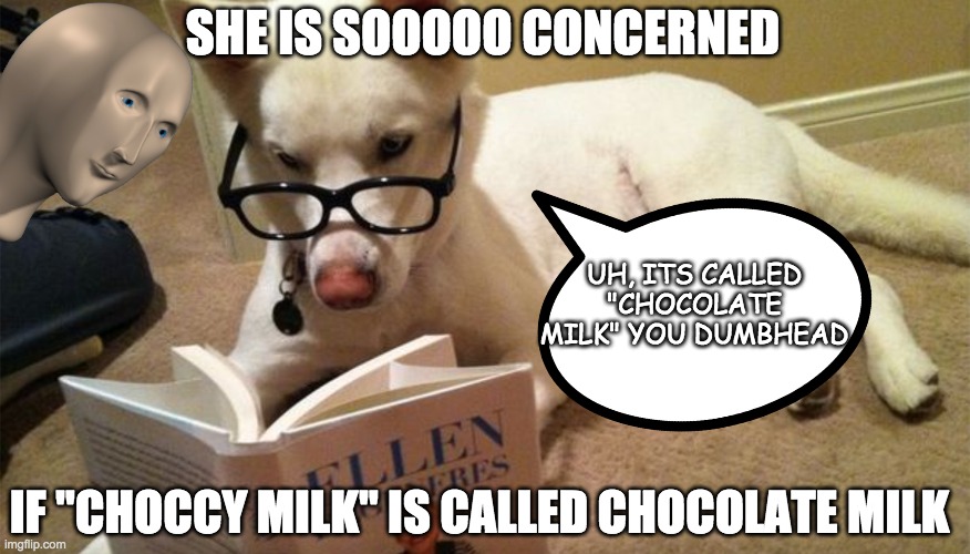 dog | SHE IS SOOOOO CONCERNED; UH, ITS CALLED "CHOCOLATE MILK" YOU DUMBHEAD; IF "CHOCCY MILK" IS CALLED CHOCOLATE MILK | image tagged in dog | made w/ Imgflip meme maker