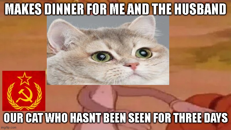 Our Dinner |  MAKES DINNER FOR ME AND THE HUSBAND; OUR CAT WHO HASNT BEEN SEEN FOR THREE DAYS | image tagged in cats,russia,meme,food | made w/ Imgflip meme maker