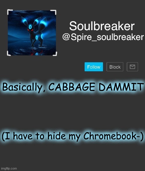 Spire | Basically, CABBAGE DAMMIT; (I have to hide my Chromebook-) | image tagged in spire | made w/ Imgflip meme maker