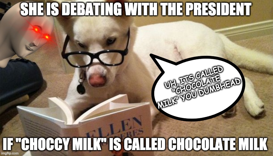 smort dog | SHE IS DEBATING WITH THE PRESIDENT; UH, ITS CALLED "CHOCOLATE MILK" YOU DUMBHEAD; IF "CHOCCY MILK" IS CALLED CHOCOLATE MILK | image tagged in dog,memes | made w/ Imgflip meme maker