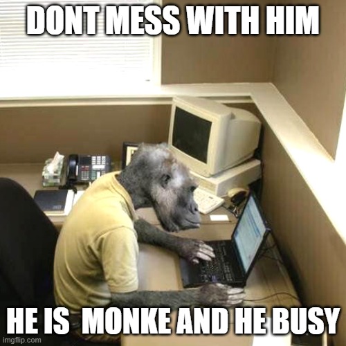 Monkey Business | DONT MESS WITH HIM; HE IS  MONKE AND HE BUSY | image tagged in memes,monkey business | made w/ Imgflip meme maker