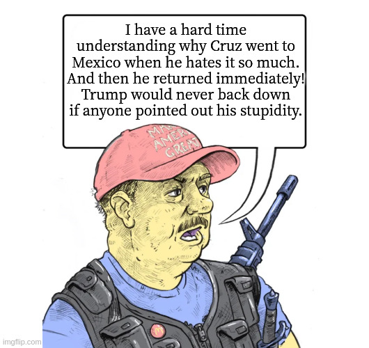 ... which is why no one ever points out how stupid rumpt is, right? Lol | I have a hard time understanding why Cruz went to Mexico when he hates it so much. And then he returned immediately! Trump would never back down if anyone pointed out his stupidity. | image tagged in repub | made w/ Imgflip meme maker