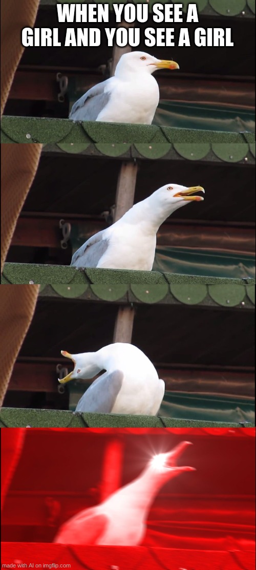 Oh GoD i HaVe DoNe It AgAiN | WHEN YOU SEE A GIRL AND YOU SEE A GIRL | image tagged in memes,inhaling seagull | made w/ Imgflip meme maker