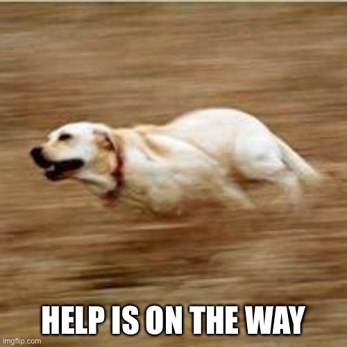 Speedy doggo | HELP IS ON THE WAY | image tagged in speedy doggo | made w/ Imgflip meme maker
