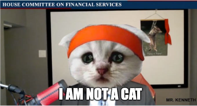 the hero we needed |  I AM NOT A CAT | image tagged in dfv hotseat,gamestop | made w/ Imgflip meme maker